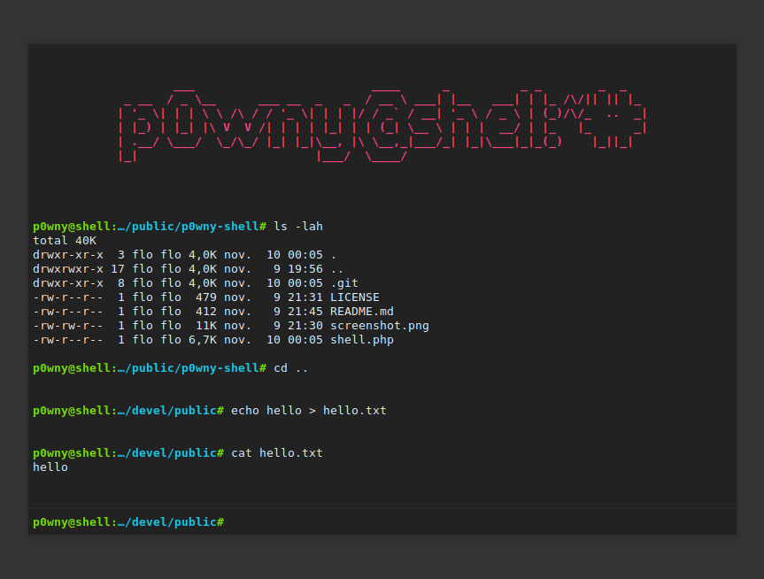 p0wny-shell screenshot 1