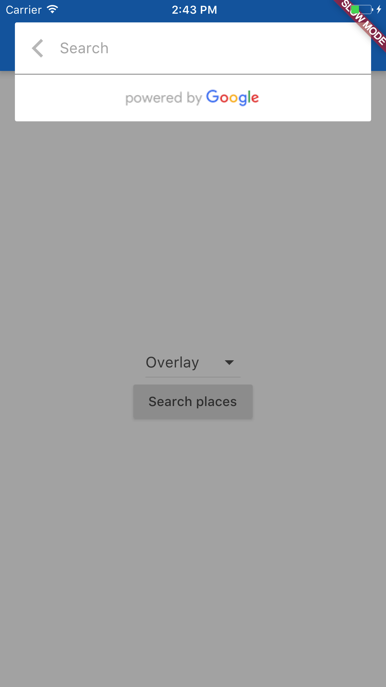 flutter_google_places screenshot 2