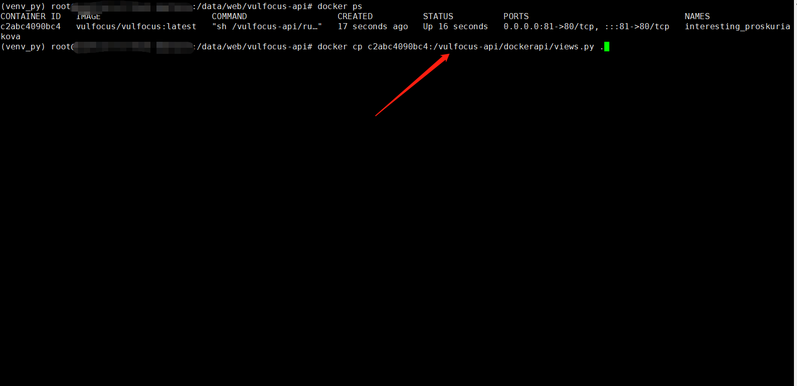 vulfocus screenshot 19