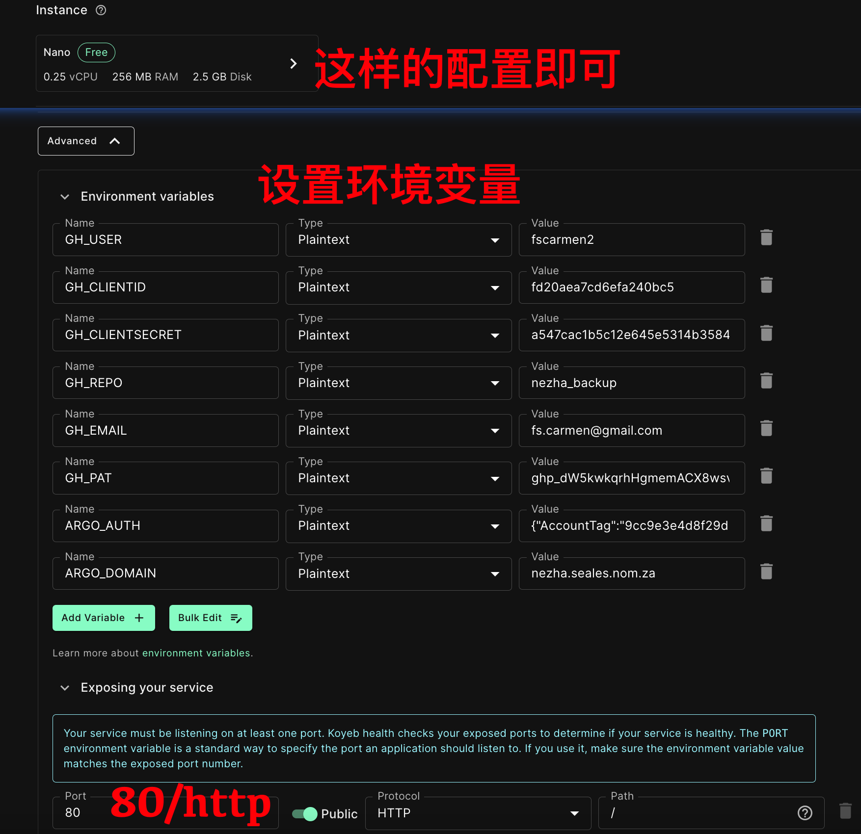 Argo-Nezha-Service-Container screenshot 18