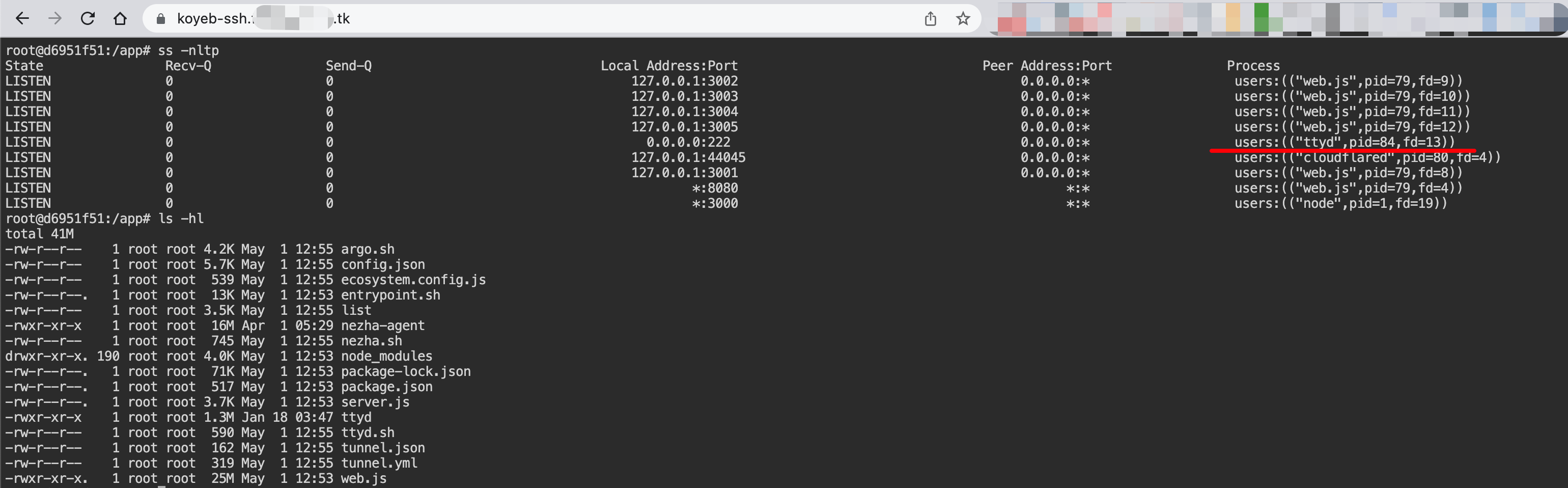 Argo-X-Container-PaaS screenshot 14
