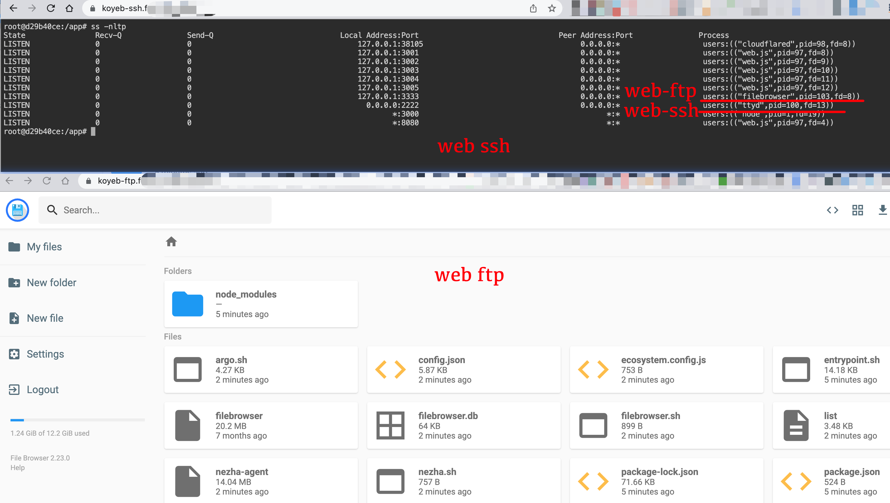 Argo-Xray-JS-PaaS screenshot 15