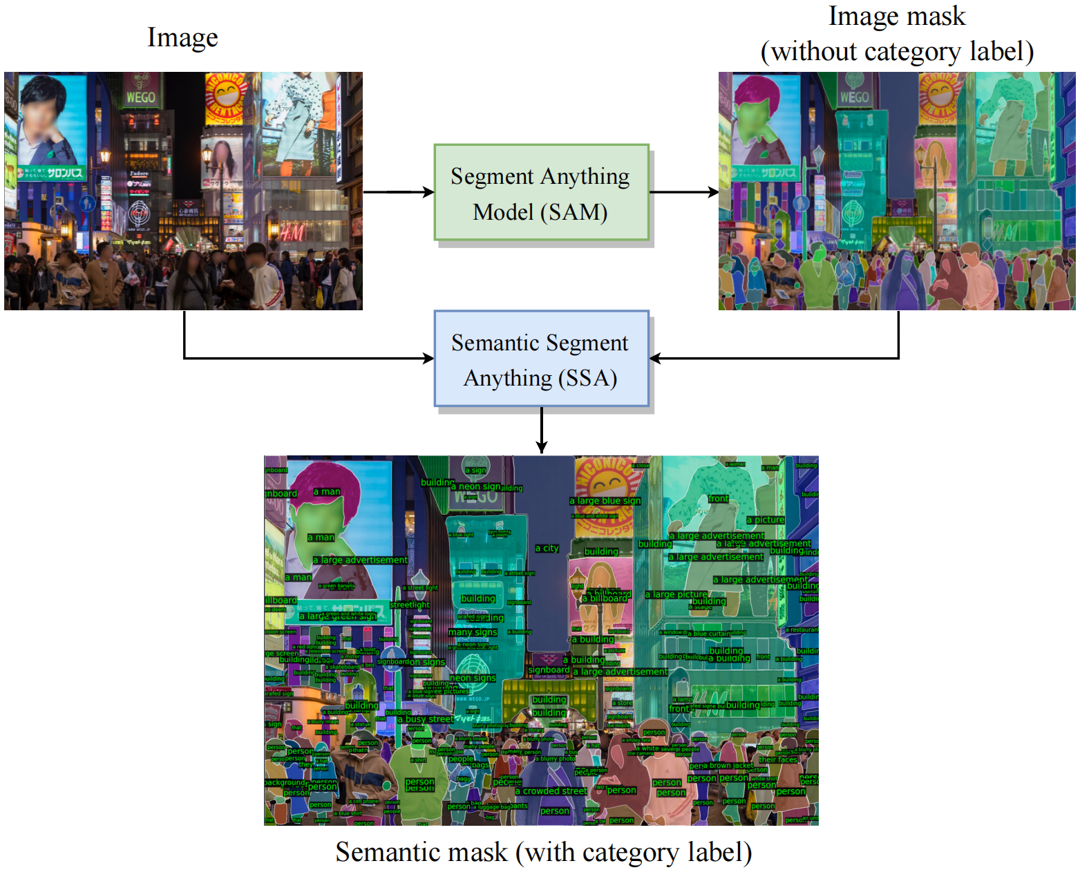Semantic-Segment-Anything screenshot 2