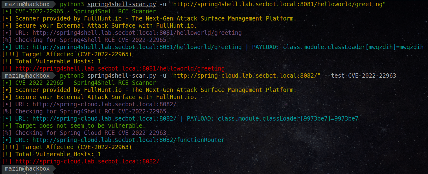 spring4shell-scan screenshot 2