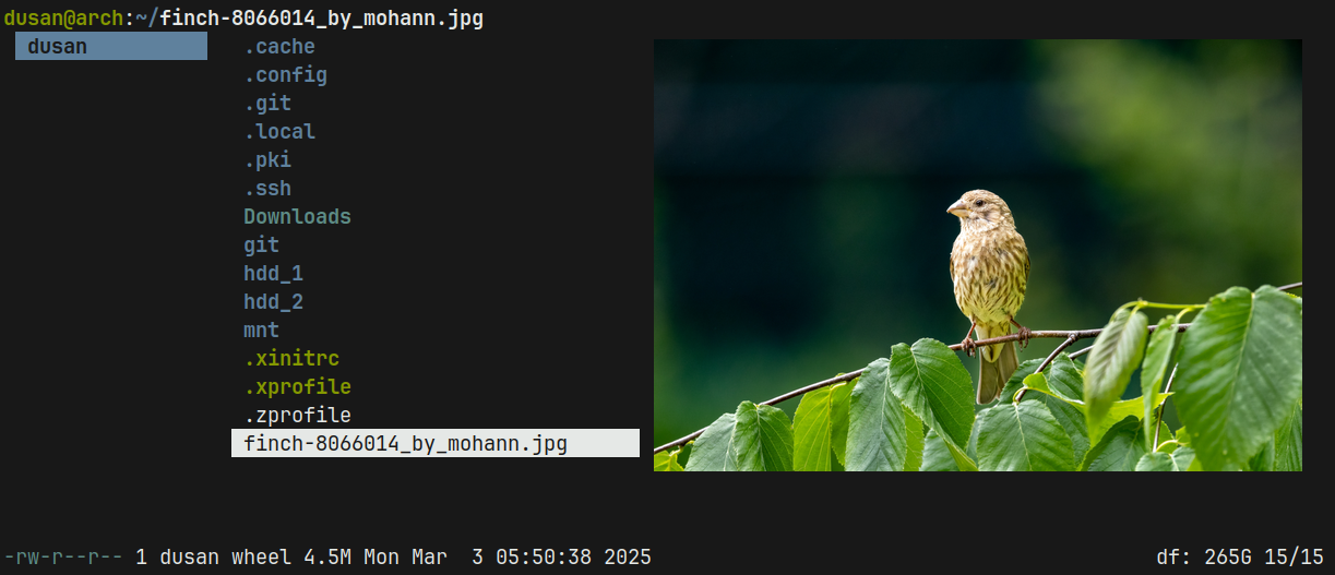 lf screenshot 2