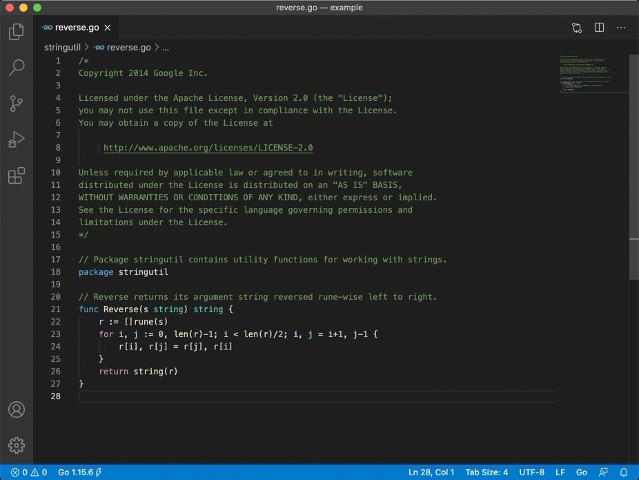 vscode-go screenshot 3