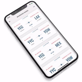 flutter_vignettes screenshot 5