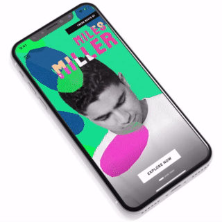flutter_vignettes screenshot 17