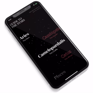 flutter_vignettes screenshot 10
