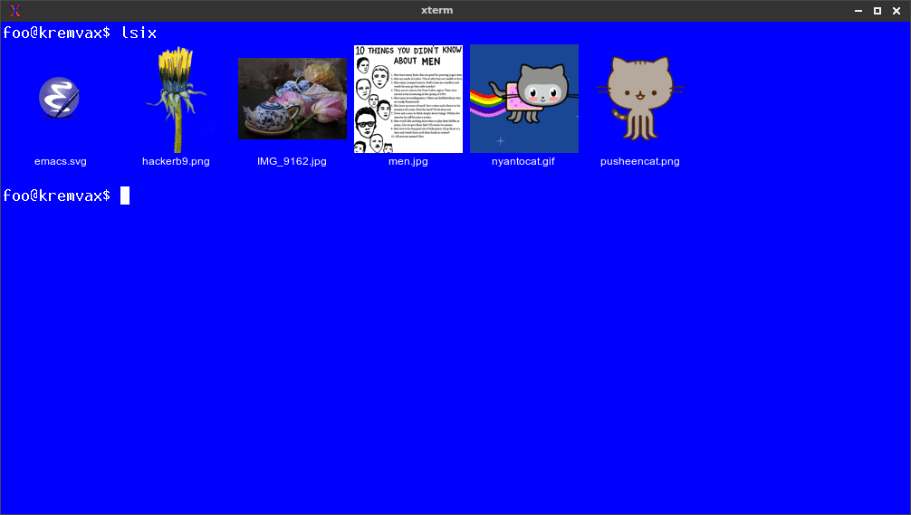 lsix screenshot 5