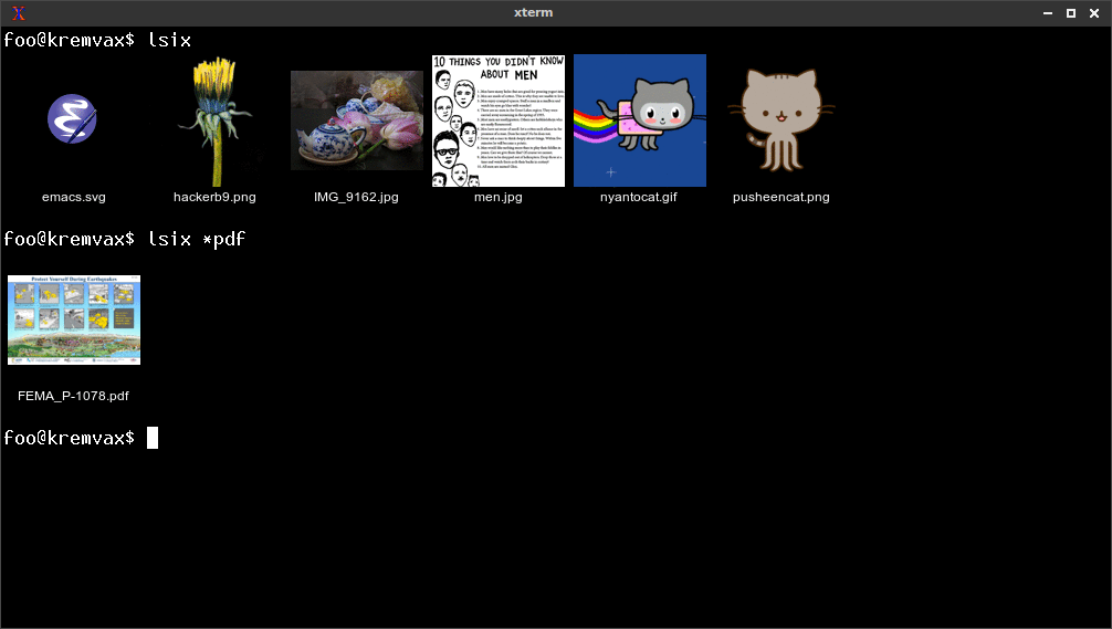 lsix screenshot 2