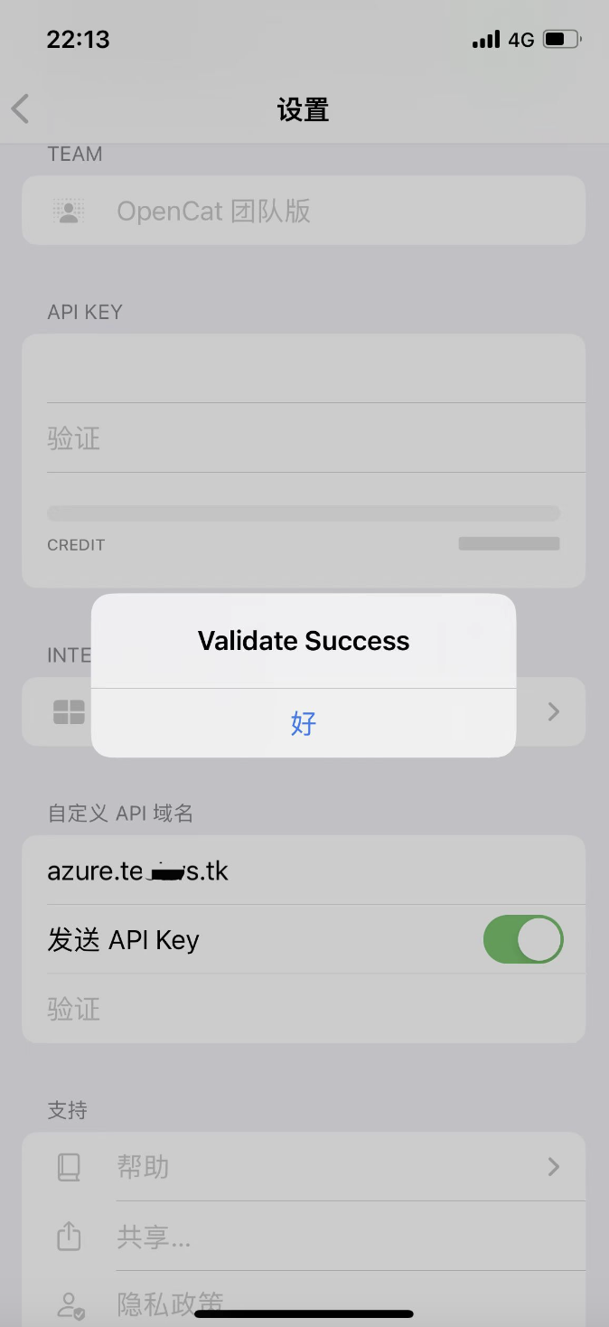 cf-openai-azure-proxy screenshot 2