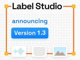 label-studio screenshot 2