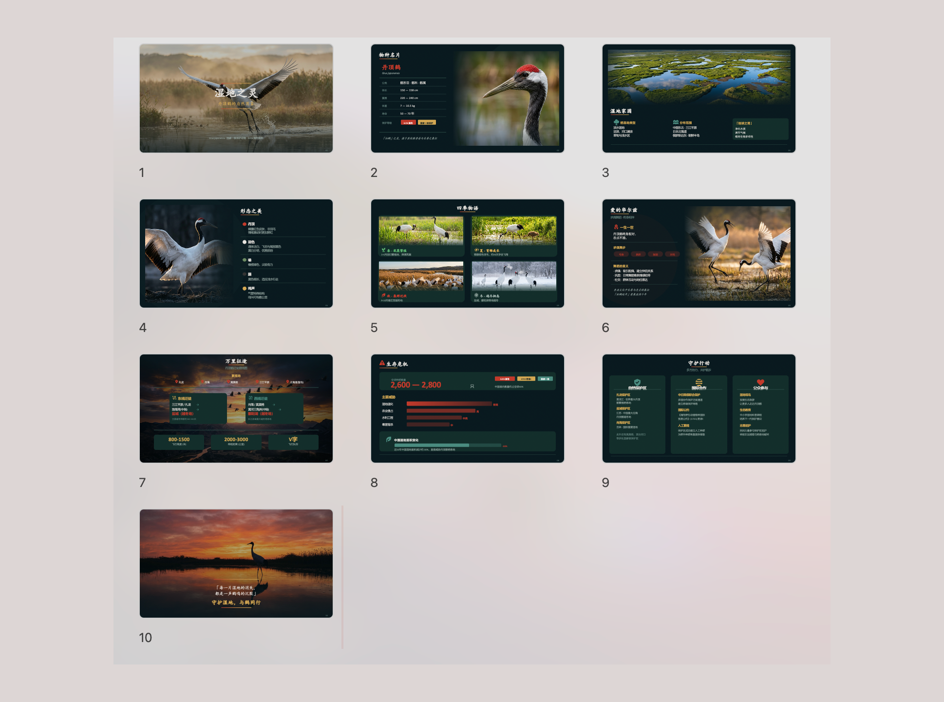 ppt-master screenshot 4