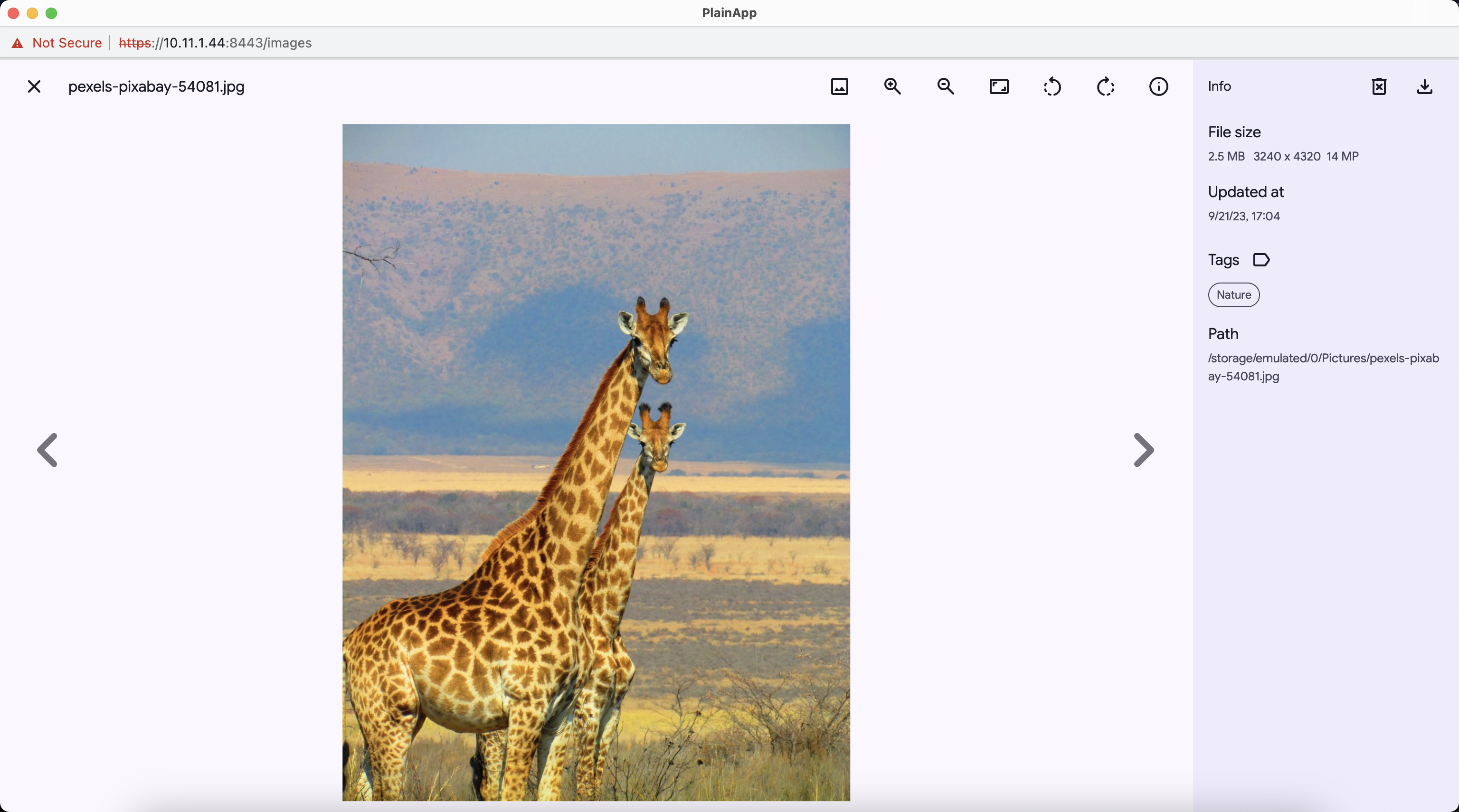plain-app screenshot 23