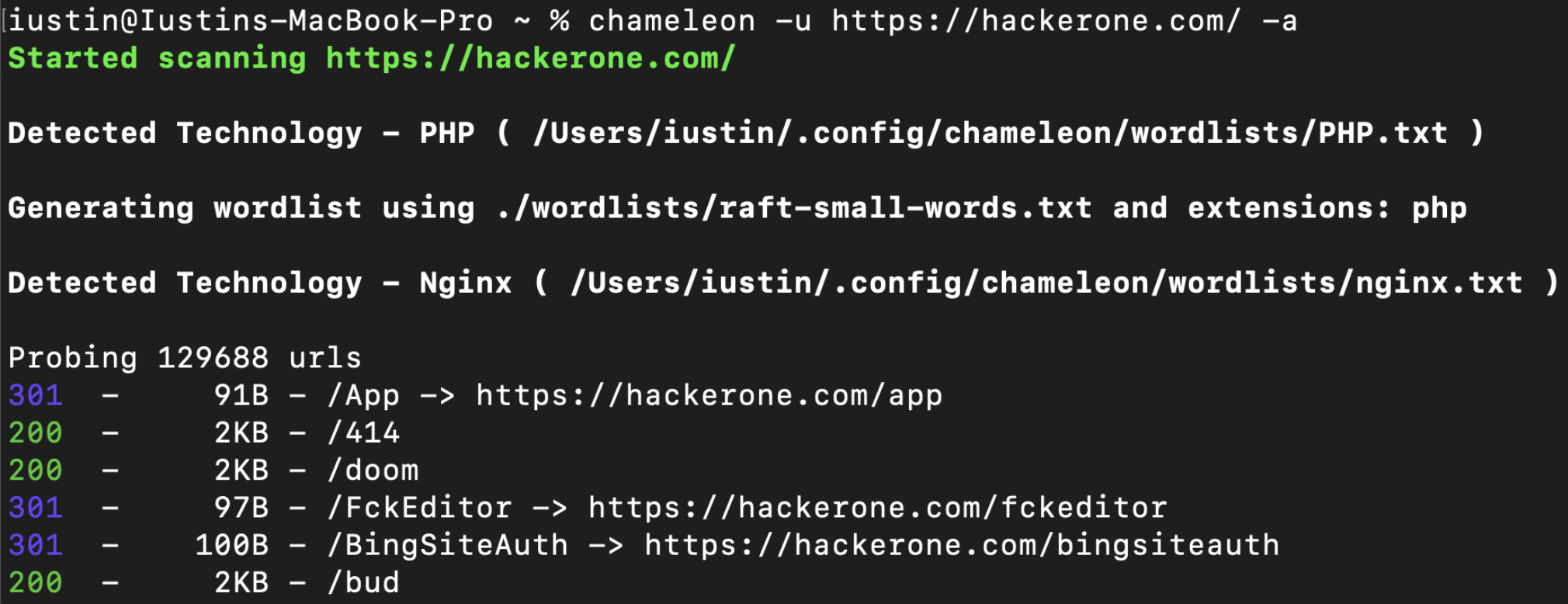 chameleon screenshot 1