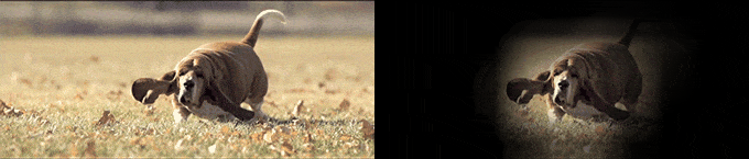 pytorch-grad-cam screenshot 1