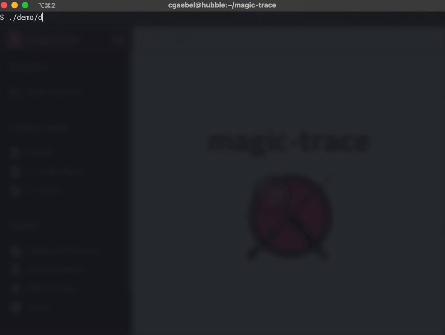 magic-trace screenshot 1