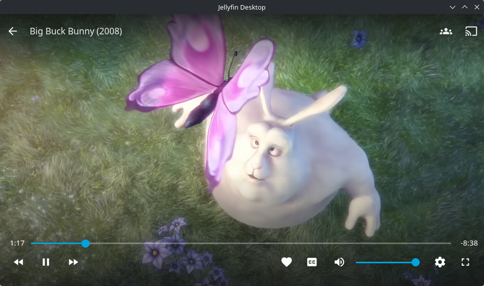 jellyfin-desktop screenshot 1