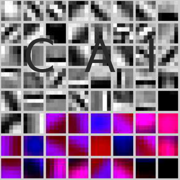 k-neural-api screenshot 1