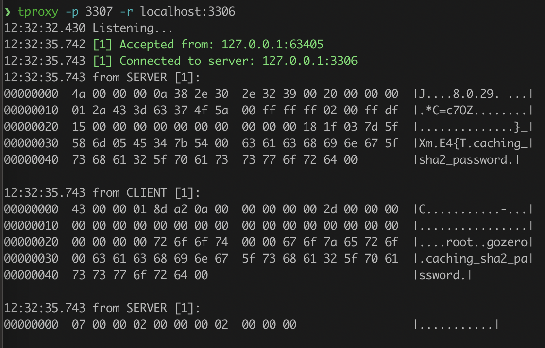 tproxy screenshot 2