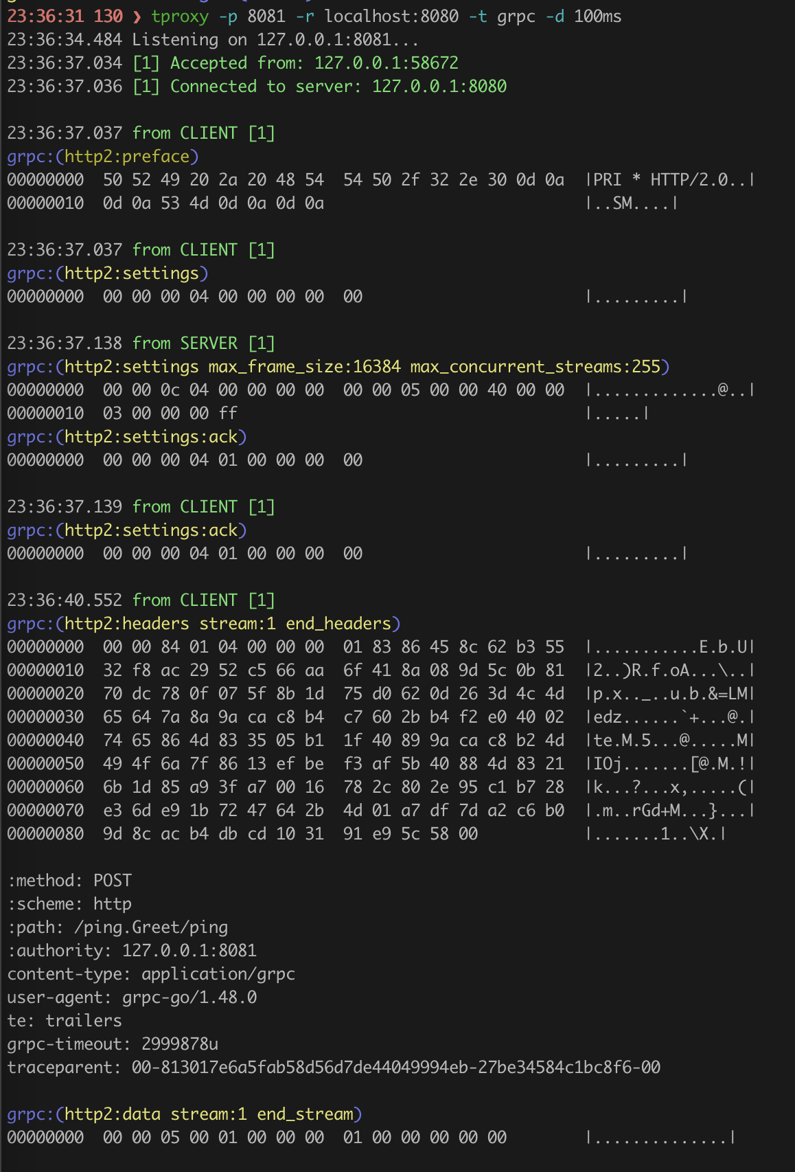 tproxy screenshot 1