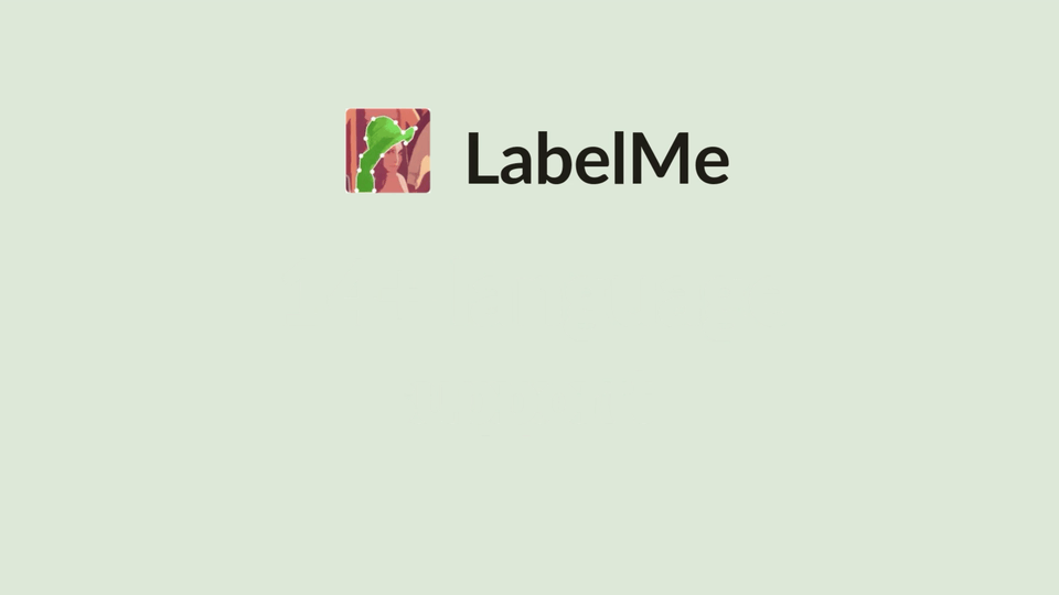 labelme screenshot 11
