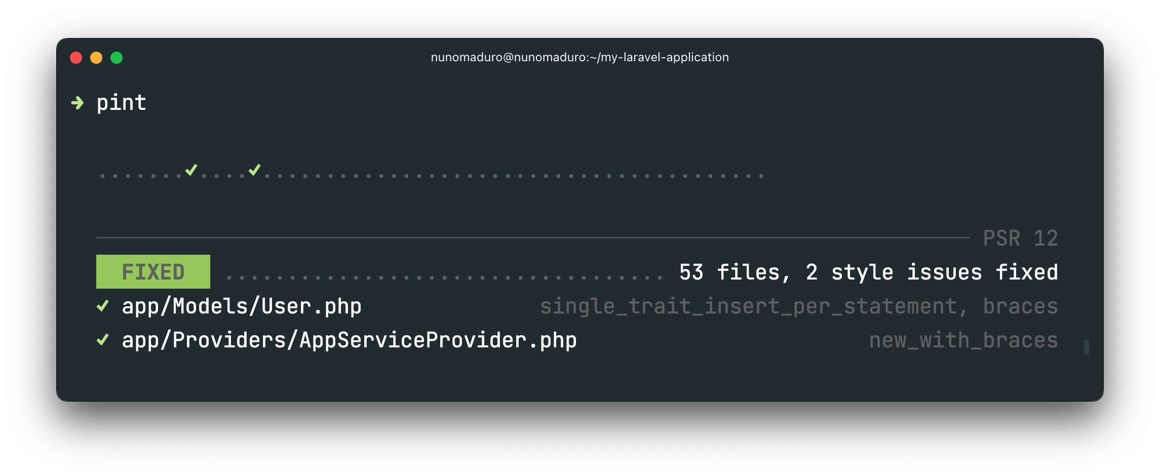 pint screenshot 1
