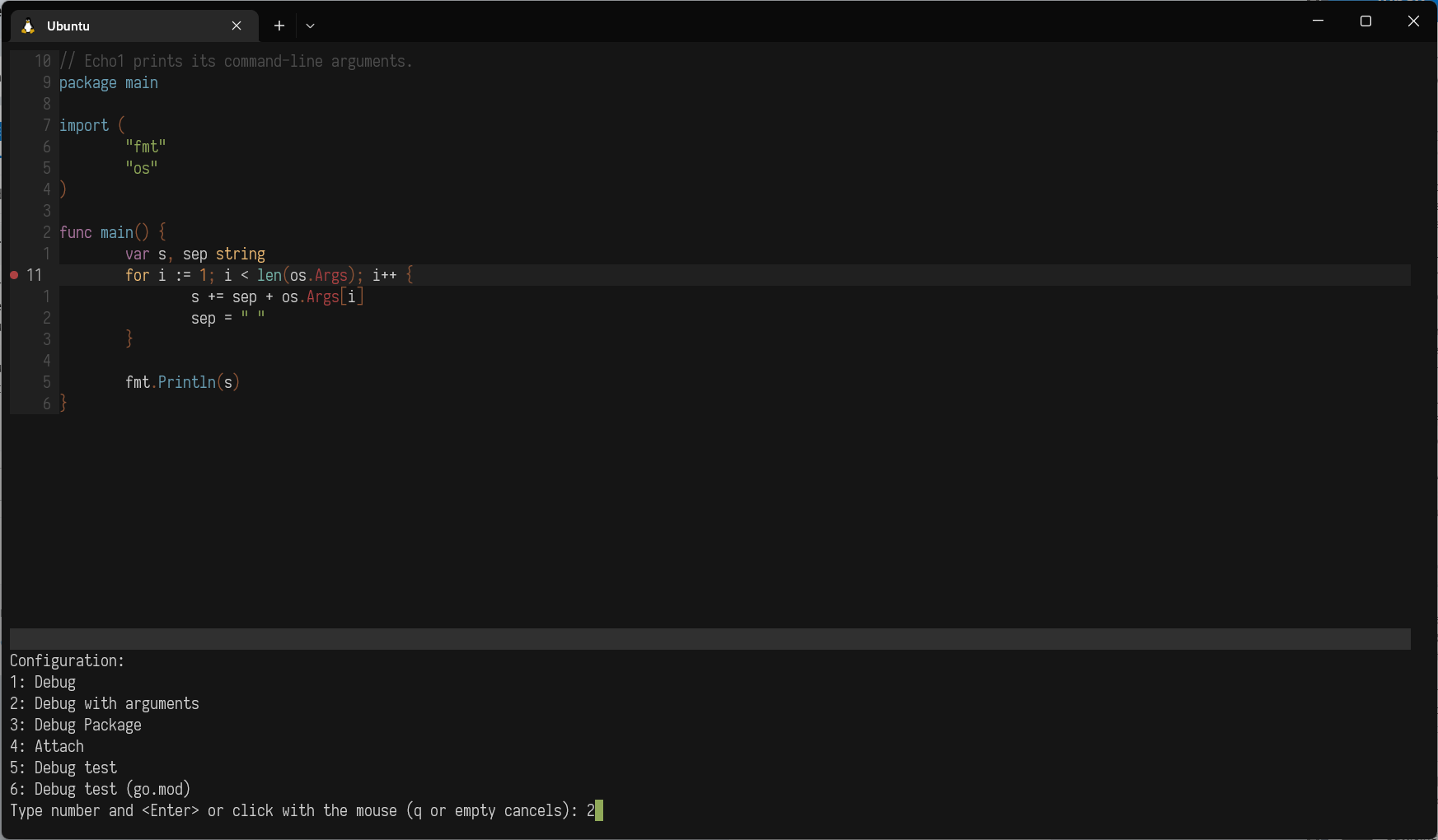 nvim-dap-go screenshot 1