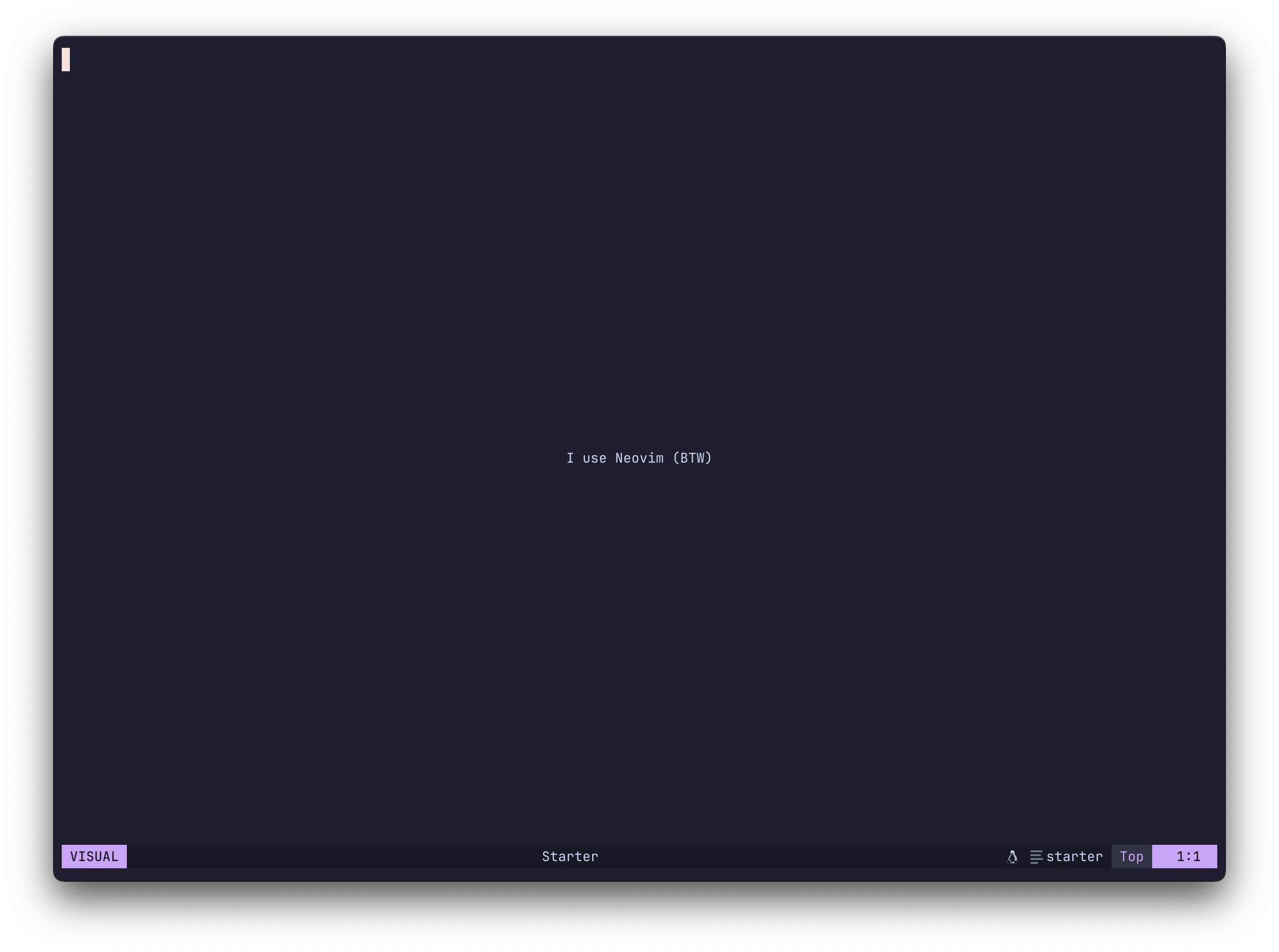 btw.nvim screenshot 1