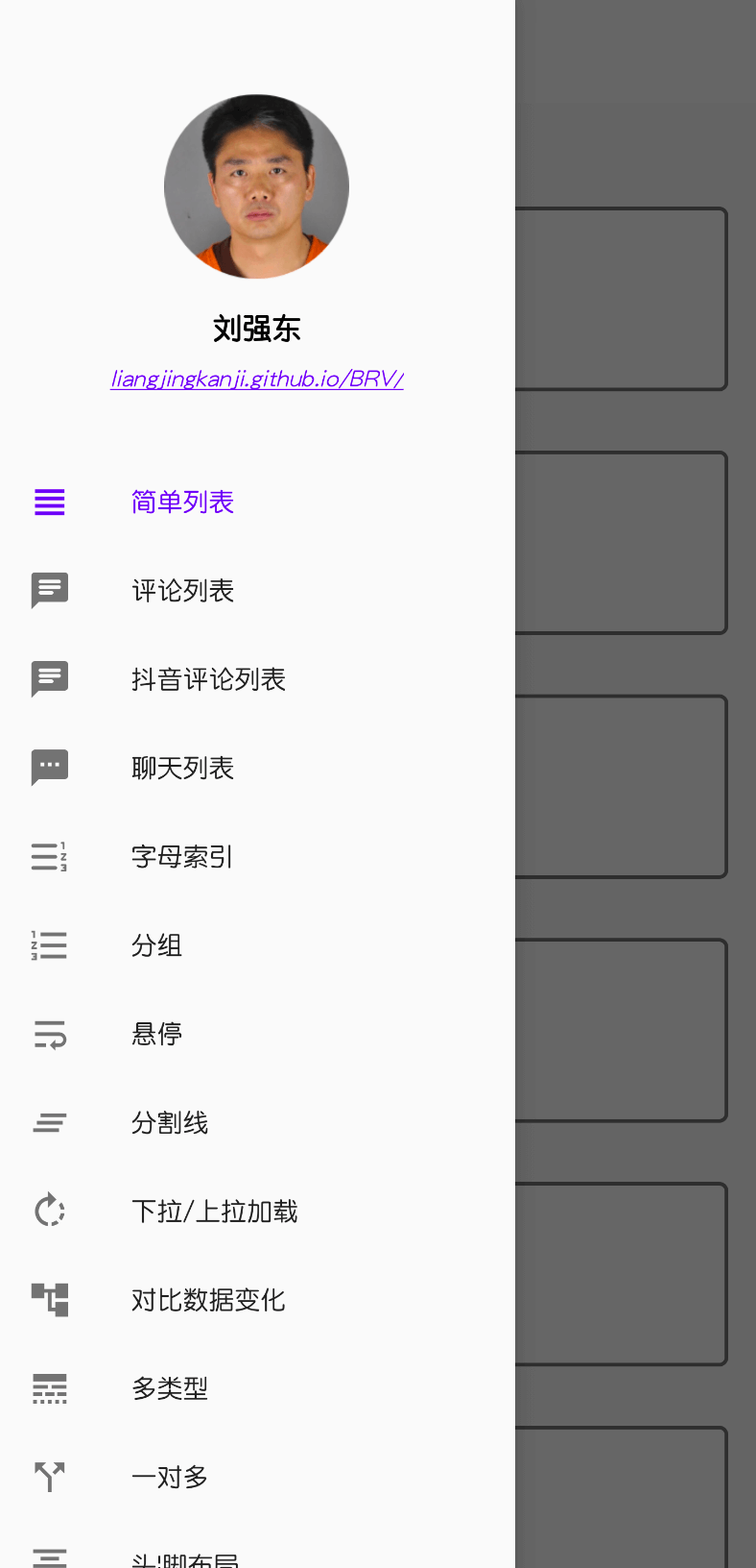 BRV screenshot 3