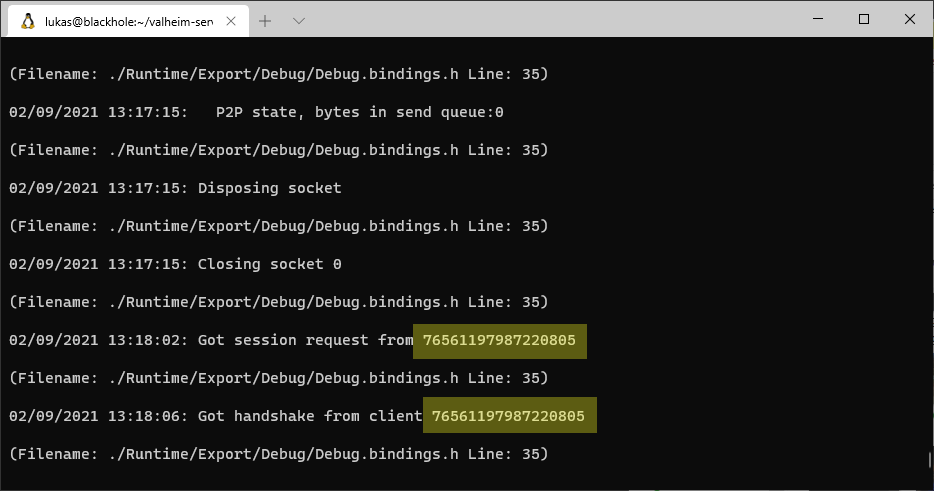 valheim-server-docker screenshot 8