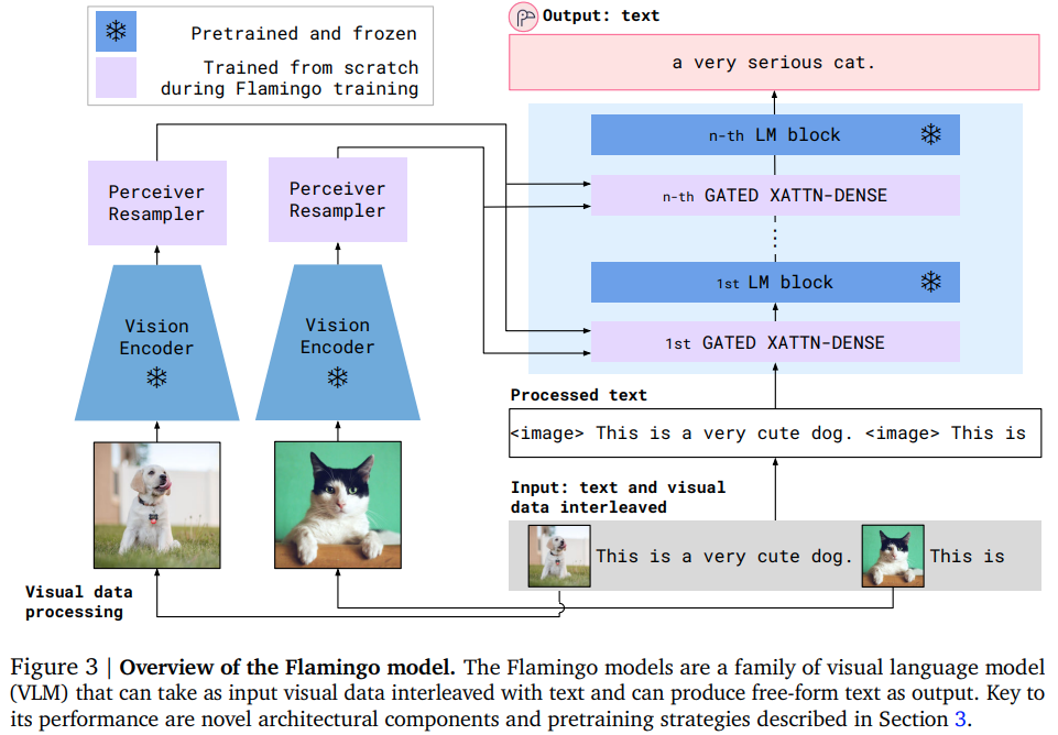 flamingo-pytorch screenshot 1