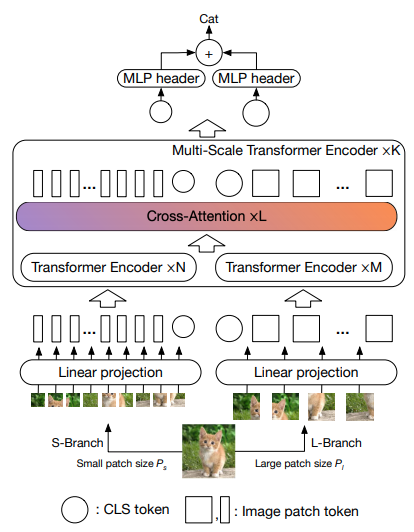 vit-pytorch screenshot 6