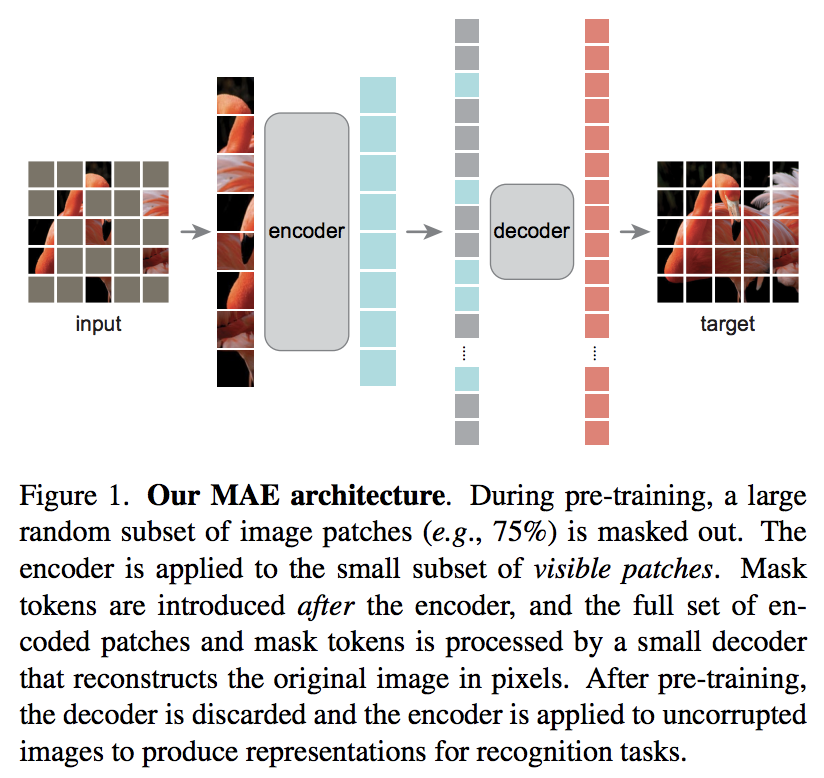 vit-pytorch screenshot 23