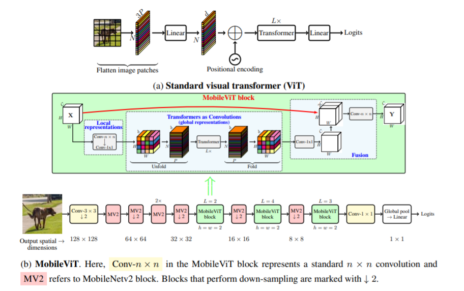 vit-pytorch screenshot 20