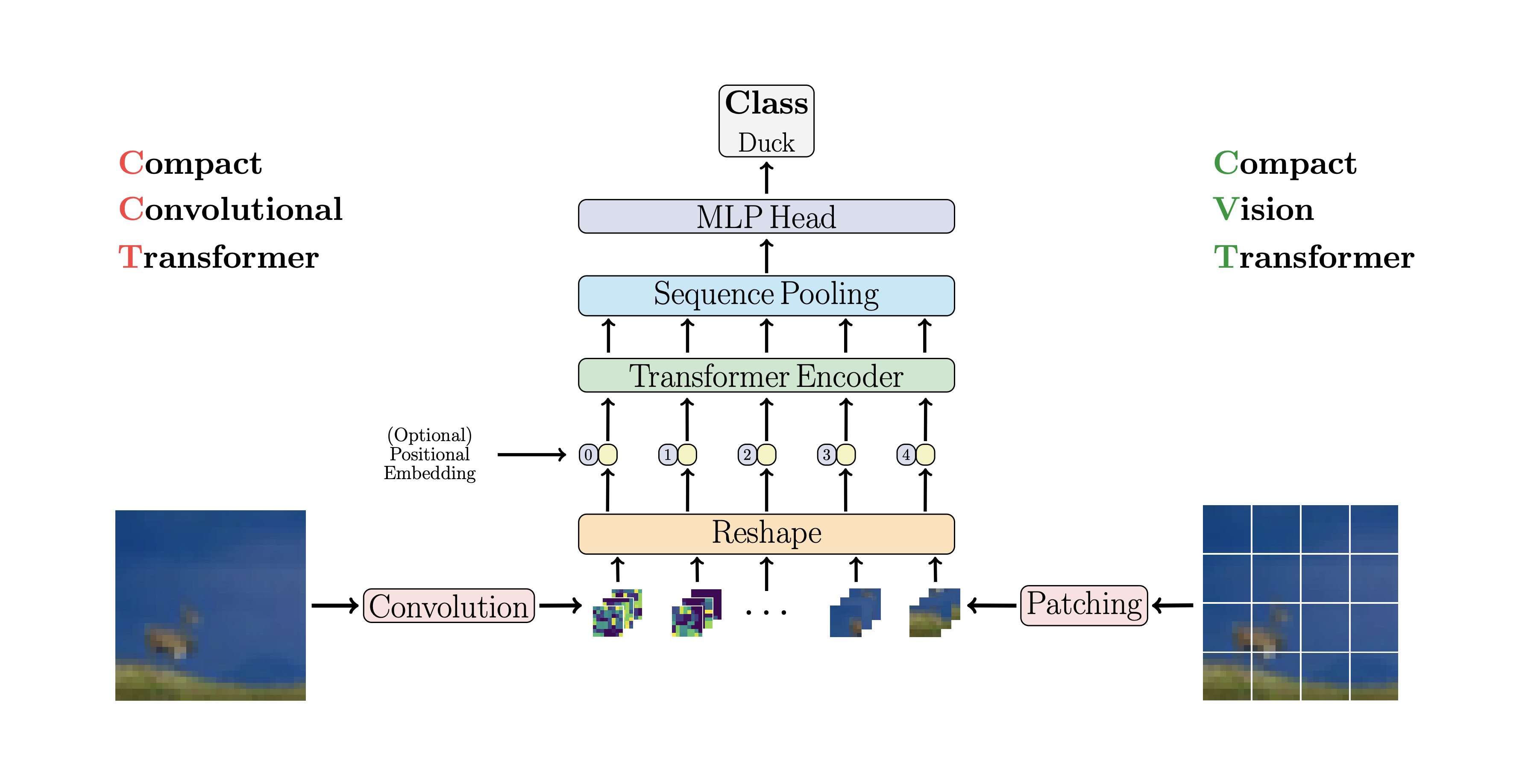 vit-pytorch screenshot 5