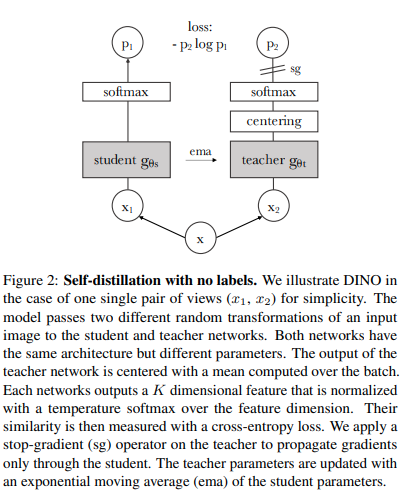 vit-pytorch screenshot 31
