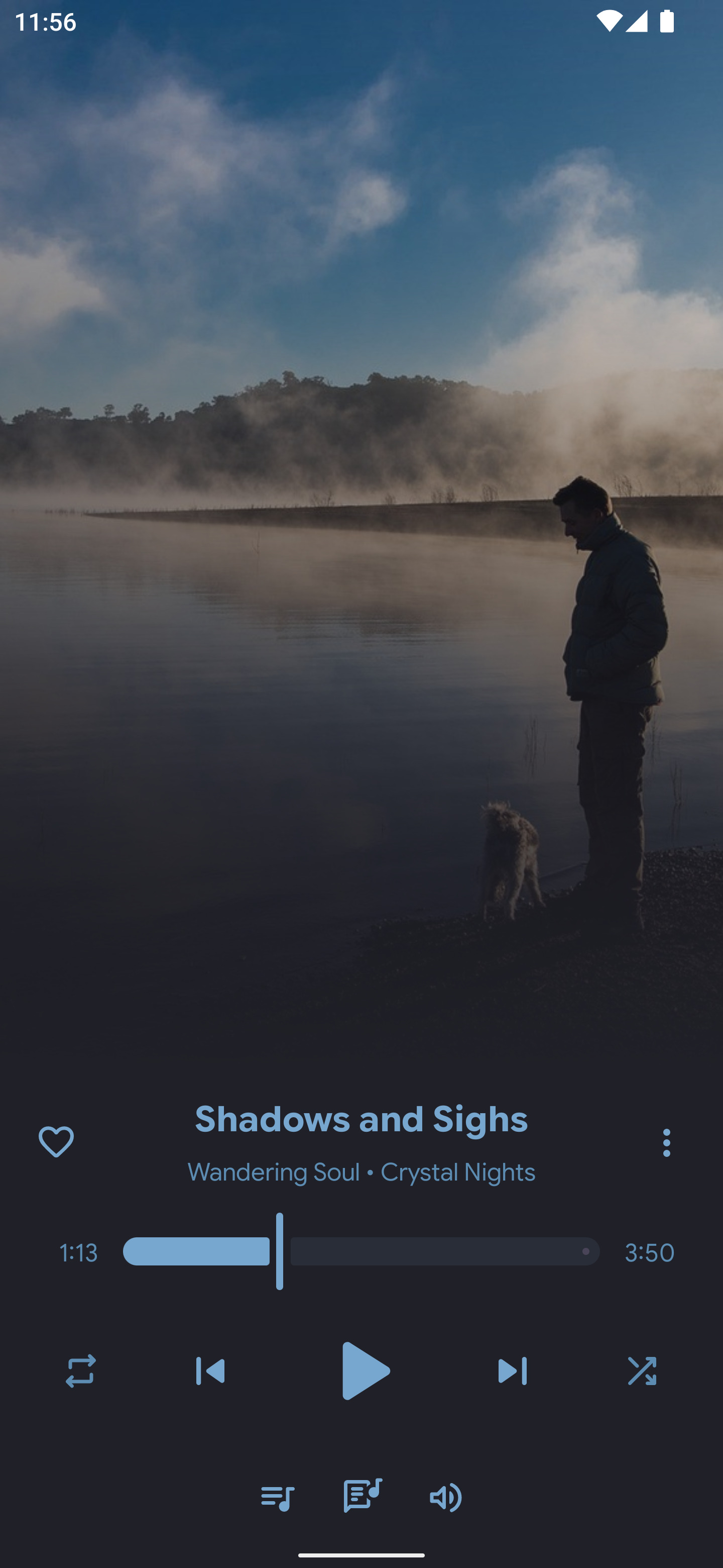 BoomingMusic screenshot 8