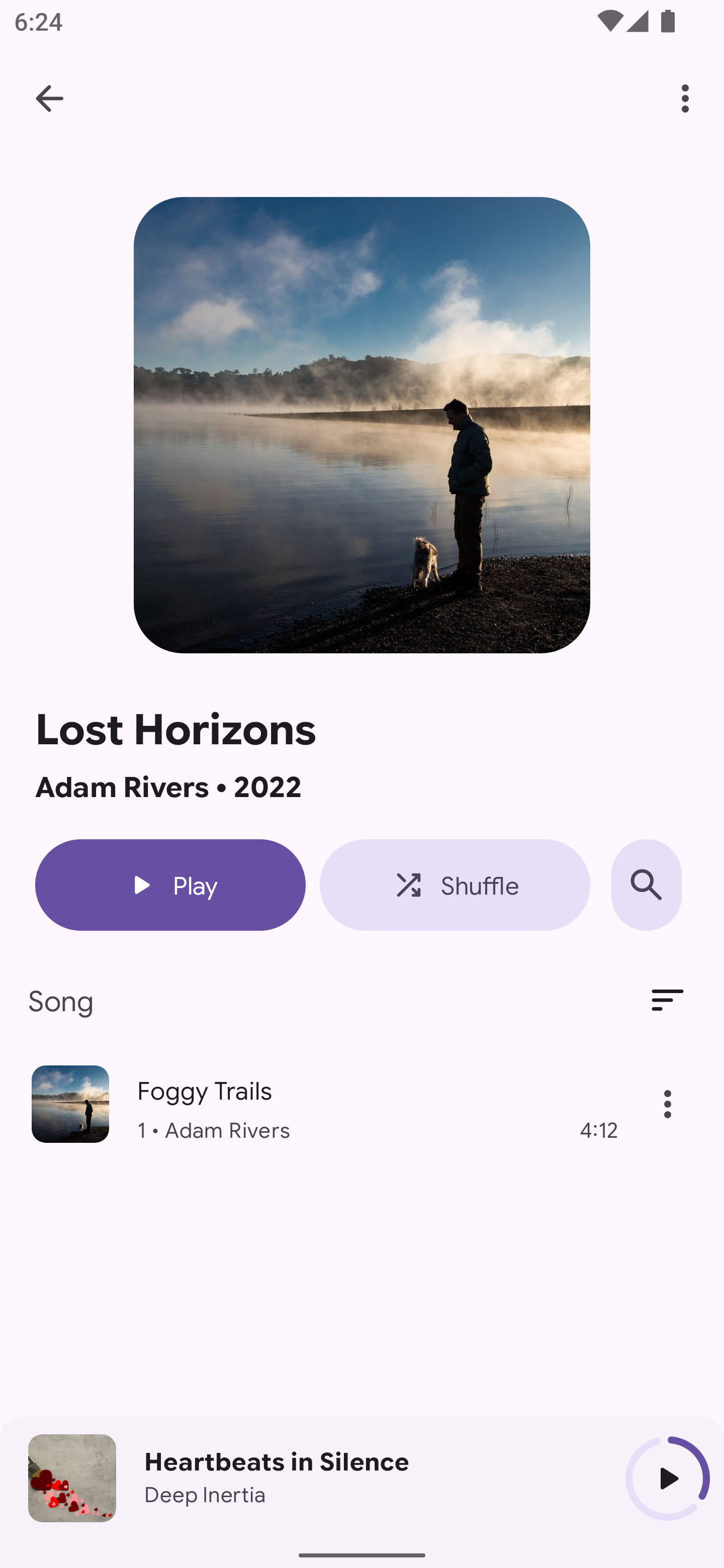 BoomingMusic screenshot 4