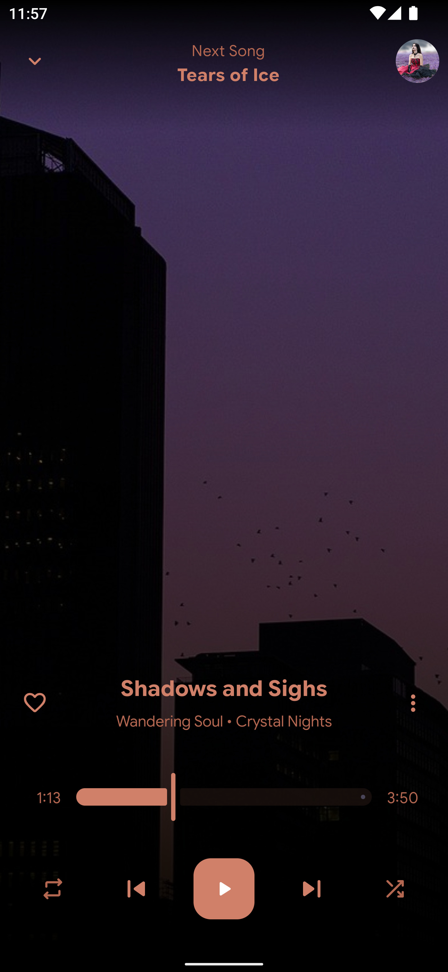 BoomingMusic screenshot 7