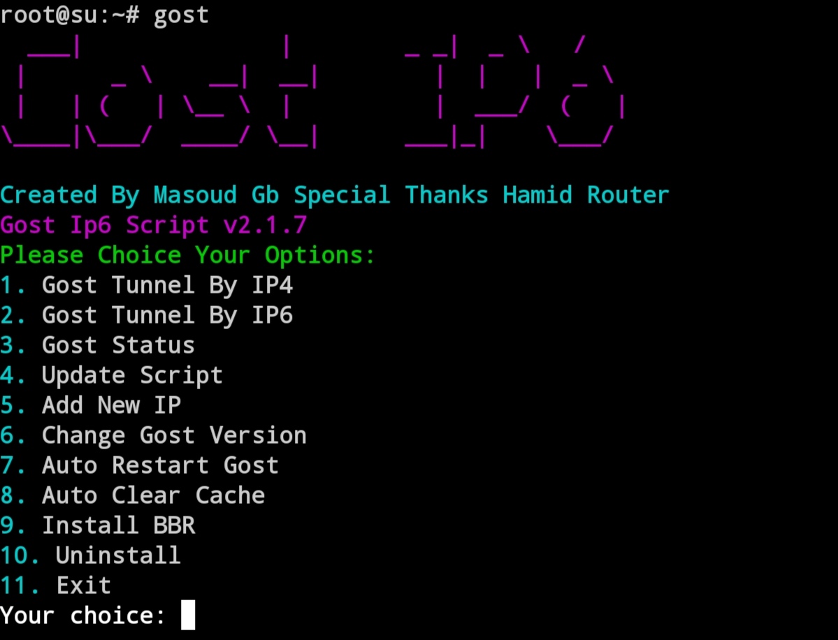 Gost-ip6 screenshot 1