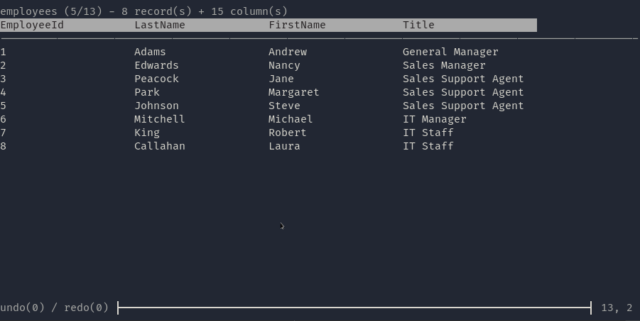 termdbms screenshot 4