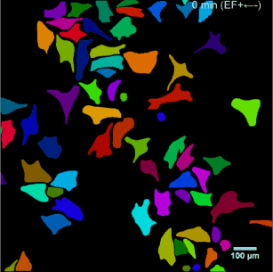 Mask_RCNN screenshot 16