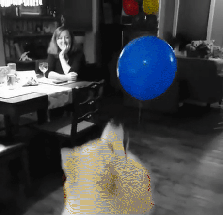 Mask_RCNN screenshot 11