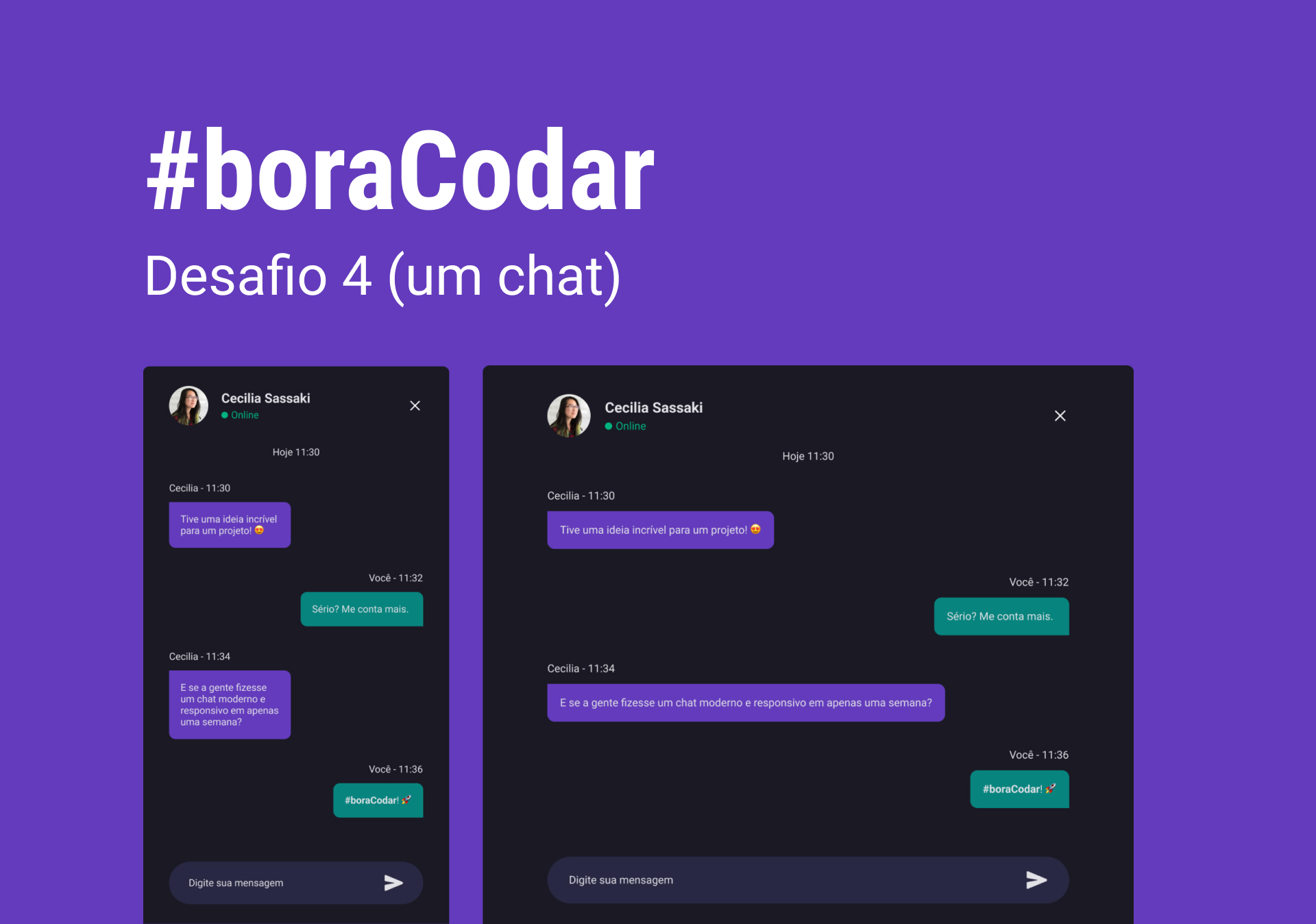 boracodar screenshot 4