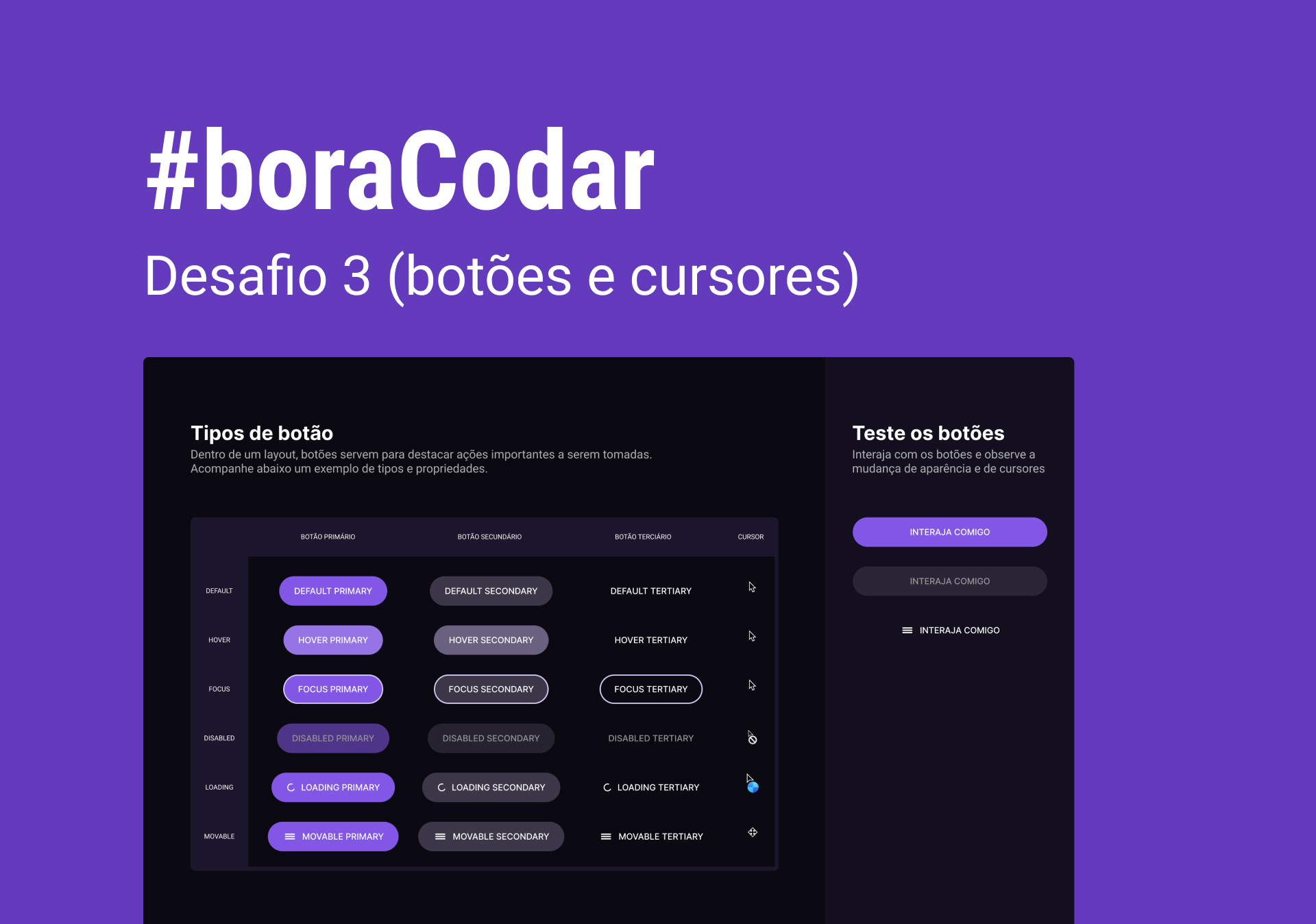 boracodar screenshot 3