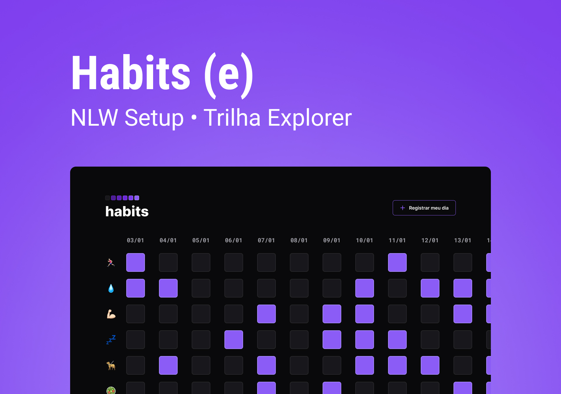 nlw-setup screenshot 1