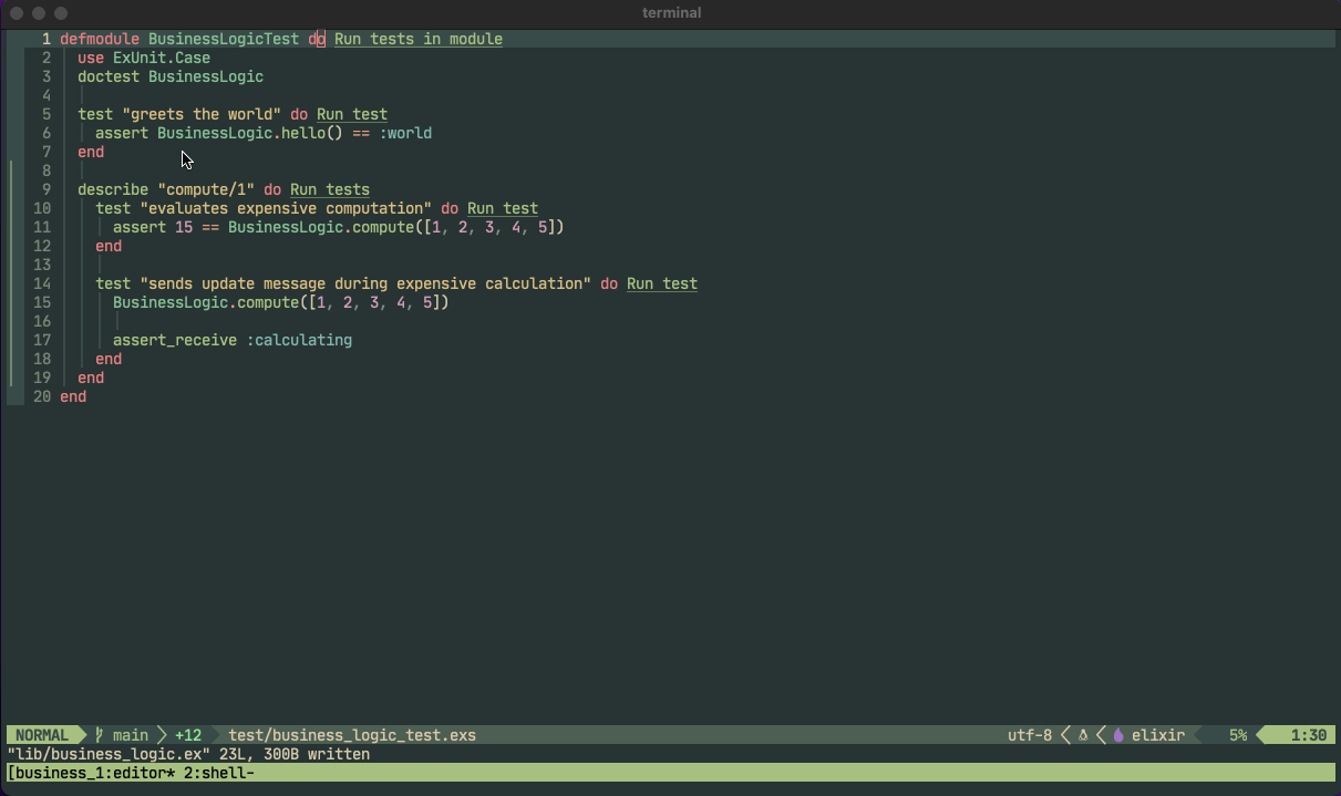elixir.nvim screenshot 2