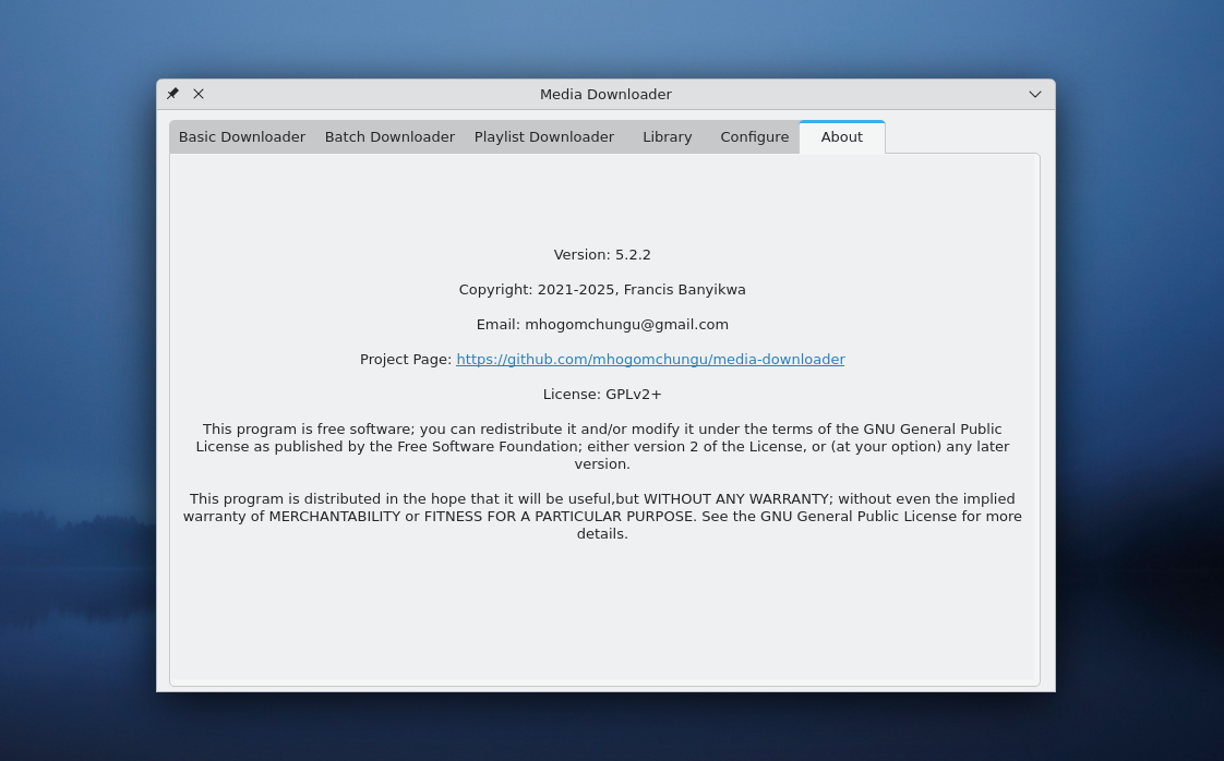 media-downloader screenshot 6